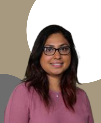 Knowledge representation and complex system modelling